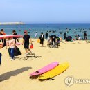 양양군 야구장 이미지