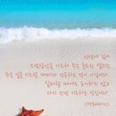 아우라두 이미지