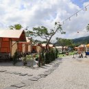 파인벨리팬션 캠핑장 이미지