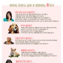 특별하개 이미지