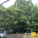 하구1리 경로당 이미지