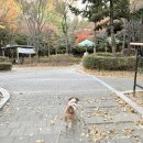 세븐일레븐진주하대스타점 | 11월 (3)