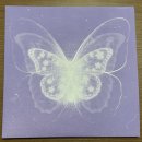 THE VOICE 노래연습장 | [소녀시대 태연] Panorama : The Best of TAEYEON 마이크 앨범, LP 후기 (포토카드, 음질, 가격)