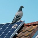 해변 태양광발전소 이미지