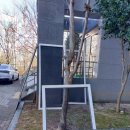 혁신에코르어린이집 | [완주 이서면 방충망]에코르 3단지 미세방충망 시공 다녀왔습니다!