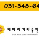 해바라기파출 이미지