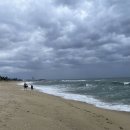 라카이샌드파인리조트 이미지