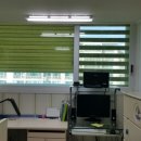 드림벨리 이미지