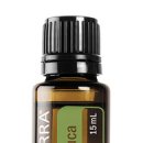 도봉-도봉-서울도봉-2209 이미지