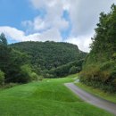 오투골프 이미지