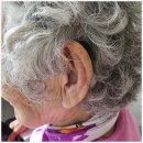 신세계보청기 이미지