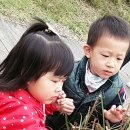 광명시어린이교통교육장 이미지