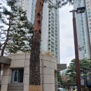 렉슬약국 이미지