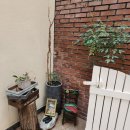 100년 상상관 이미지