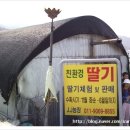 제이제이농장 네이버블로그