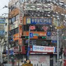 대선주유소 | 자연과 평화와 고양이가 있는 3월의 신안사 템플스테이 후기