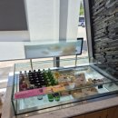 투썸플레이스구리토평점
