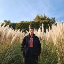 1004 행정사 사무소 이미지