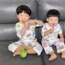 샤인덴탈 | 덴탈케어 프리미엄 브랜드 크리오 유아용 펌프팝 칫솔 &amp;샤인머스캣치약 을 소개합니다!