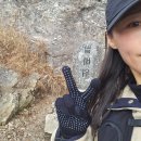 운문령 | ⛰️[산행한끼] 여자혼자 등산(혼산) 성공 ! 운문령왕복 가지산 등산 후기