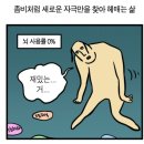 감기 골골과 인형뽑기 도파민 중독 일상