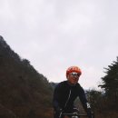 팀투어 이미지