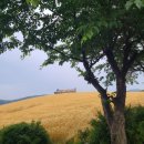 철수목장 이미지