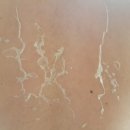 천안 RPC 이미지