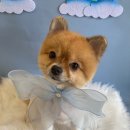 살롱드베베 이미지