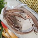 제주회수산 이미지