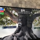 SBS 개표방송 CG담당 누구야 이미지