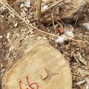 은평-066 이미지