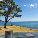 주식회사 웨이브온 | 부산기장 웨이브온 커피