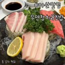 [아산맛집] 기념일 데이트코스로 방문하기좋은 배방 우연참치&amp;초밥 참치회