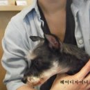 또또미용실 이미지
