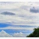 옥동손국수 이미지