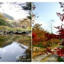 메이플하우스 펜션 이미지