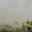 연못이 있는 집 이미지