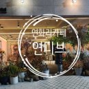 연디브 이미지