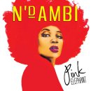 N&#39;Dambi - Pink Elephant [2009. 10. 06] 이미지