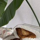 양양시장 빵집 추천 오빵쇼, 여행중 만난 양양빵맛집
