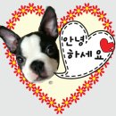 간사지횟집 이미지