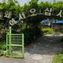 대덕화 이미지