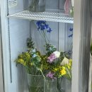 온정로9번길 | 호매실꽃집 찾는다면 | 수원 권선구 마루꽃 봉담꽃집 분위기 좋은 꽃집 후기