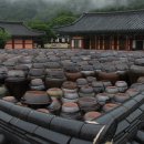 양산신-1023 | [포항가볼만한곳] 일렬로 늘어선 장독이 인상 깊은 포항 보경사