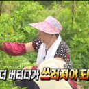 꿈나무농장 이미지