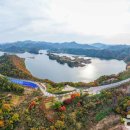 도인농장 이미지