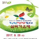 2017 청원 생명축제 전국 실버가요제 이미지