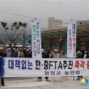 구기자 약초시장 이미지