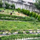 심내경로당 이미지